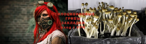 каннабис Заволжск