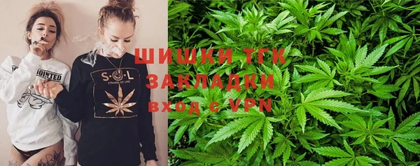 стаф Заводоуковск