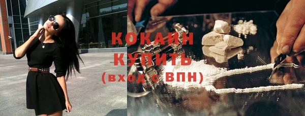 стаф Заводоуковск
