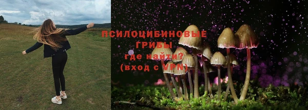 каннабис Заволжск