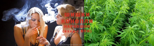 стаф Заводоуковск