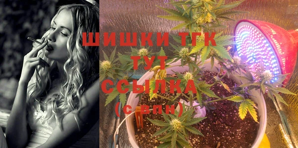 стаф Заводоуковск