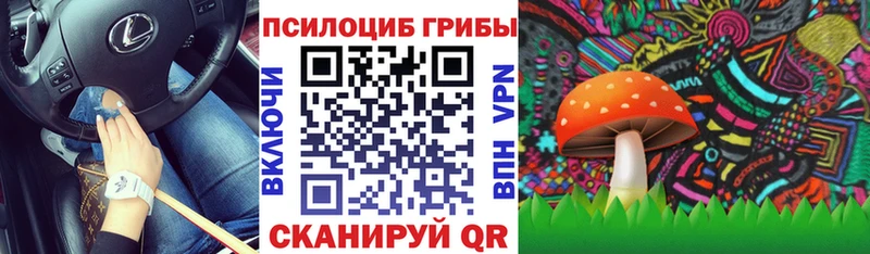 Псилоцибиновые грибы GOLDEN TEACHER  KRAKEN вход  Новое Девяткино 
